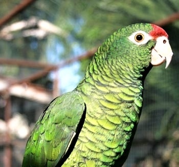 Foto 3